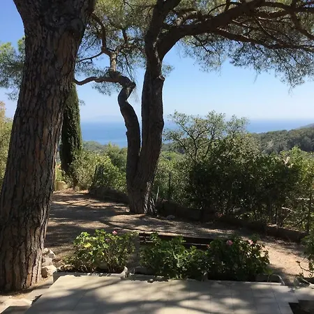 Straccoligno 卡波利韦里