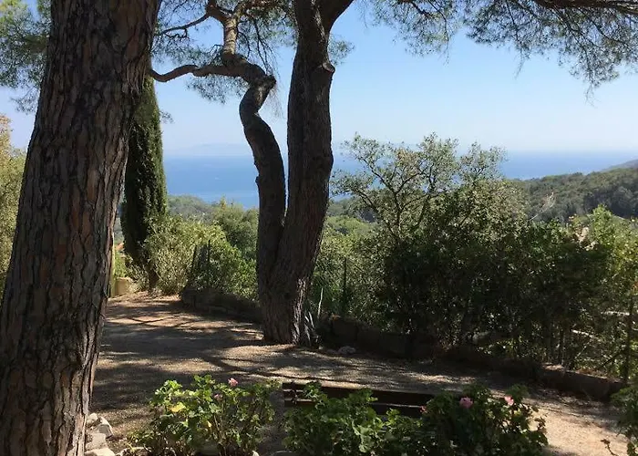 Straccoligno 卡波利韦里